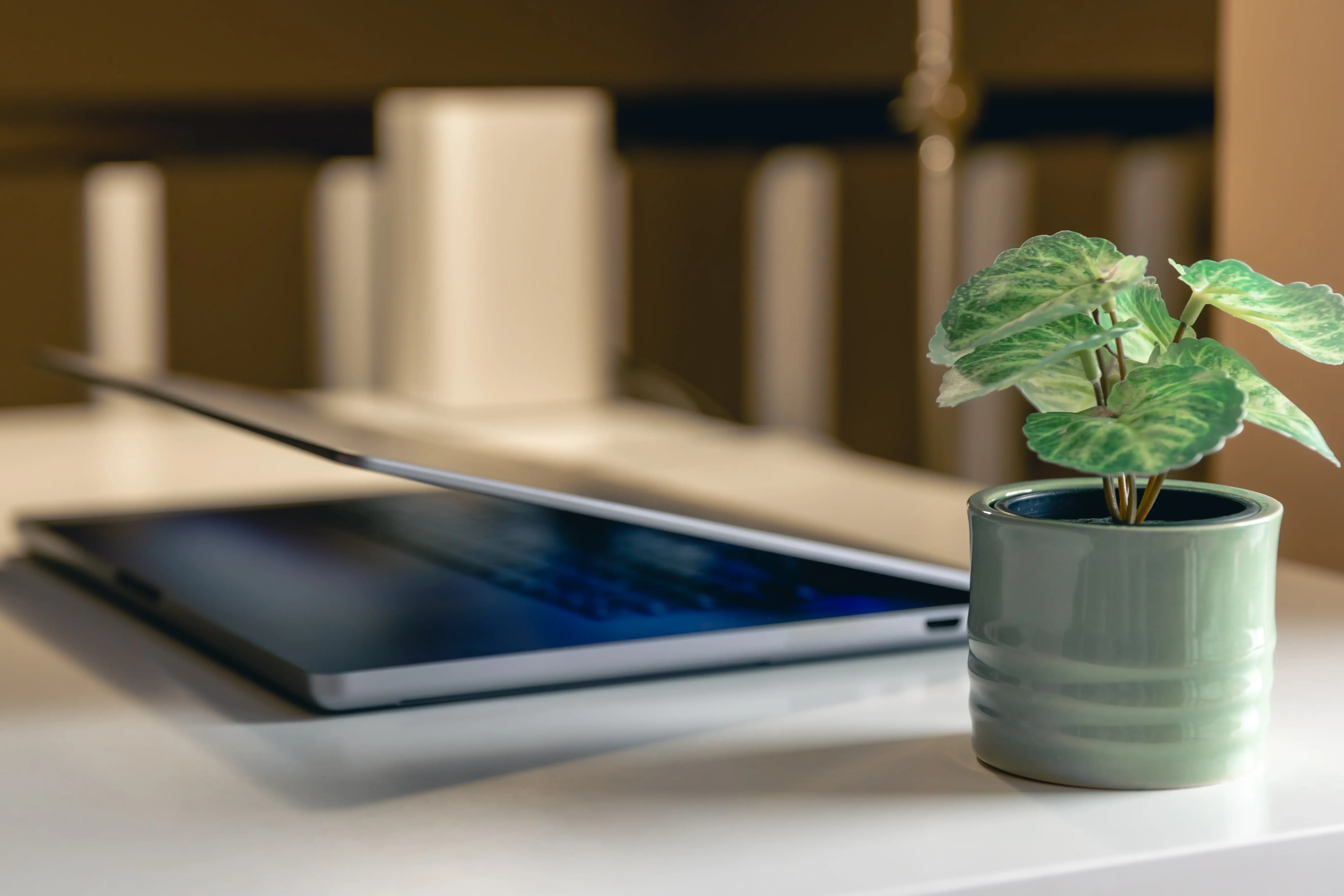 Escritorios biofílicos: Por qué trabajar rodeado de plantas es el nuevo hack de salud